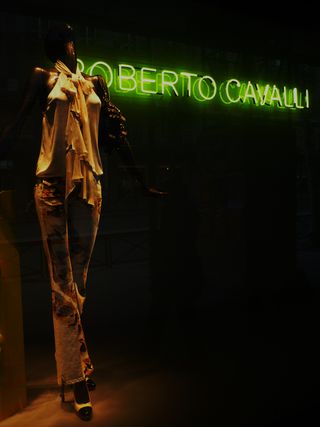 Cavalli